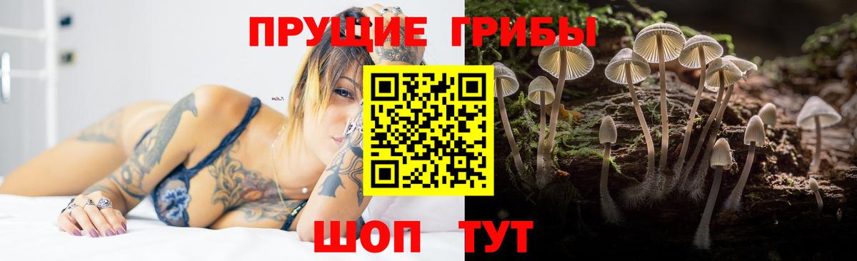 Псилоцибиновые грибы Psilocybine cubensis  Вход с VPN  Уварово 